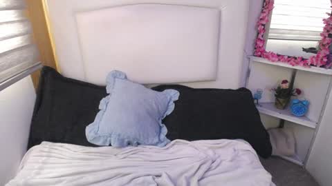 Snapshot of palmer_mix chatting on 12-28-24, 04:20 Palmer online show from 12-28-24, 04:20