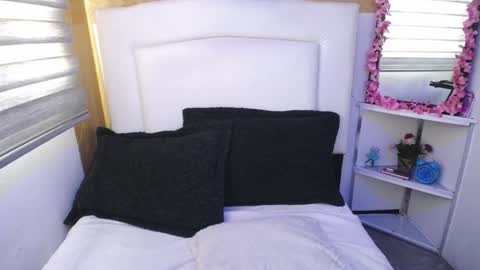 Snapshot of palmer_mix chatting on 01-11-25, 12:40 Palmer online show from 01-11-25, 12:40