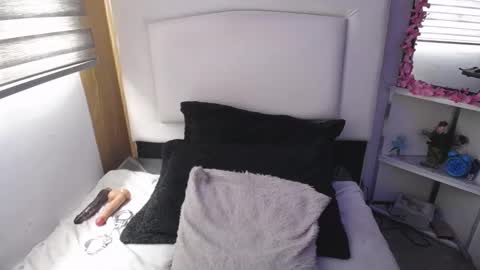 Snapshot of palmer_mix chatting on 03-12-25, 07:17 Palmer online show from 03-12-25, 07:17