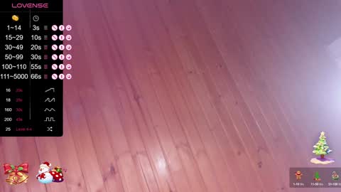 Pamela online show from 12-20-24, 06:29