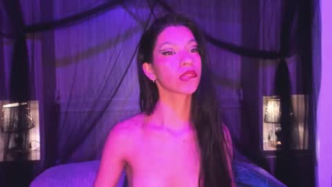  P A M  online show from 01-11-26, 09:14