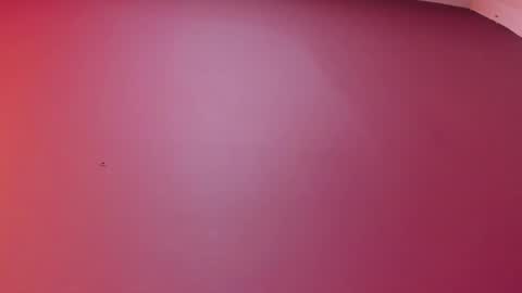  P A M  online show from 02-17-26, 04:09