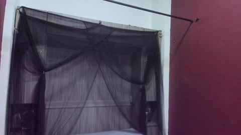  P A M  online show from 02-22-26, 04:02