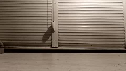 angel hris online show from 02-25-26, 04:27