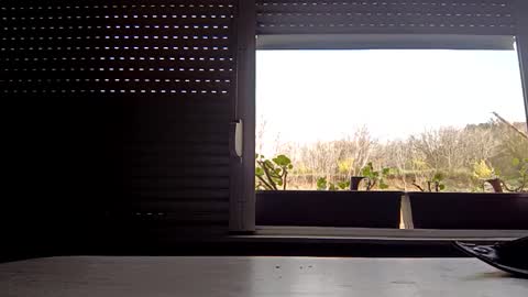 angel hris online show from 04-14-26, 03:18