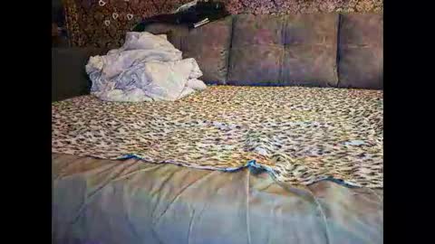 Pancamo online show from 01-18-26, 07:17