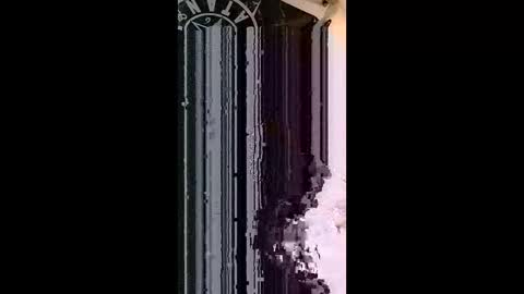 pandoraon online show from 02-18-26, 09:22