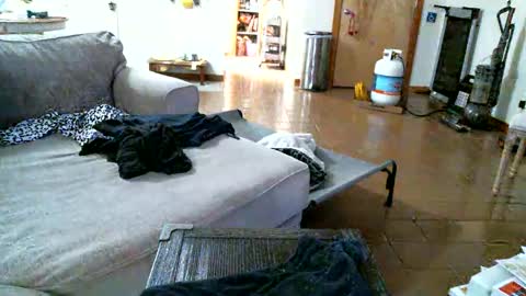 Snapshot of pantyhoselover934 chatting on 12-30-24, 01:15 Pantyhoselover online show from 12-30-24, 01:15