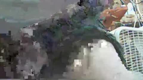 Snapshot of papajb70 chatting on 09-29-25, 02:27 papajb70 online show from 09-29-25, 02:27