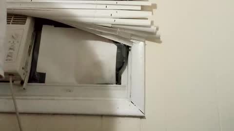 Snapshot of pato0008 chatting on 12-17-24, 11:27 JD online show from 12-17-24, 11:27