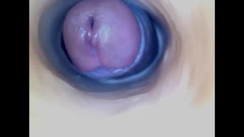 Paula 18 Aninhos online show from 10-26-25, 09:21