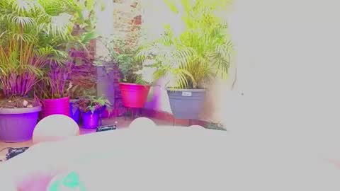 Snapshot of paulina_sodi chatting on 06-19-26, 07:39 Paulina online show from 06-19-26, 07:39