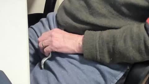 Paul online show from 02-10-25, 06:45