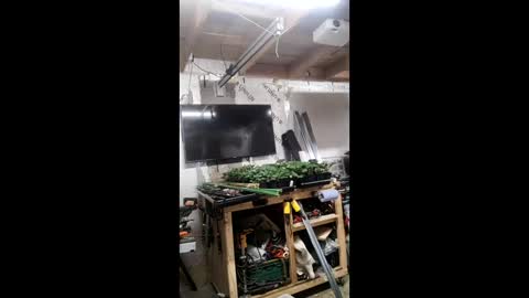 pawelniceguy online show from 01-19-26, 02:26