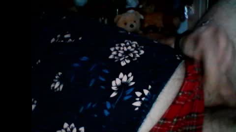 Papabear online show from 01-06-25, 08:57