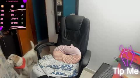 Tangerine Penaut online show from 03-12-26, 12:06