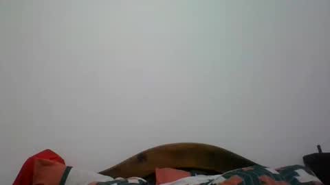 Snapshot of penegro358 chatting on 06-07-26, 02:05 penegro358 online show from 06-07-26, 02:05