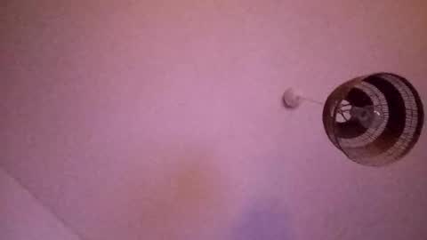 Snapshot of penesvoladores92 chatting on 02-28-26, 01:39 penesvoladores92 online show from 02-28-26, 01:39