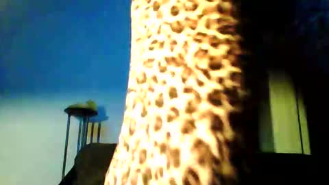 permageil_nackt_alt online show from 02-26-26, 06:51