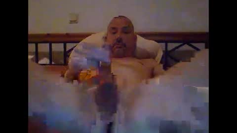 pet09 online show from 01-06-25, 10:37