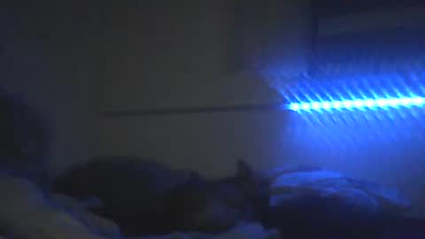 Snapshot of peterscherer620 chatting on 02-10-26, 03:10 Pitsches online show from 02-10-26, 03:10