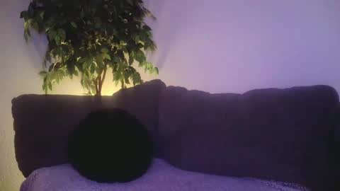 petite treat  online show from 12-19-24, 10:56