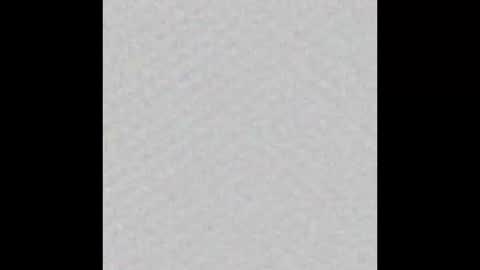 peytonn_monroe online show from 10-31-25, 12:06