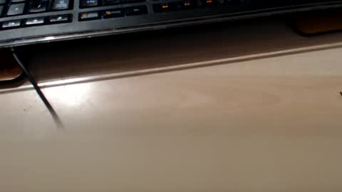 Snapshot of pier49x chatting on 02-10-25, 03:35 pier49x online show from 02-10-25, 03:35