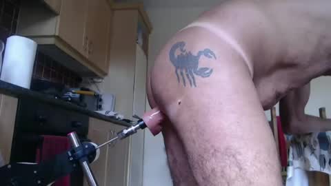 Snapshot of piercedcock069 chatting on 06-17-26, 04:30 piercedcock069 online show from 06-17-26, 04:30
