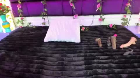 Pink Lovee  online show from 07-04-26, 01:39