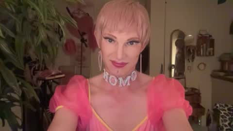 pinkfag online show from 04-20-26, 07:04