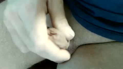 pippo online show from 05-31-26, 09:16