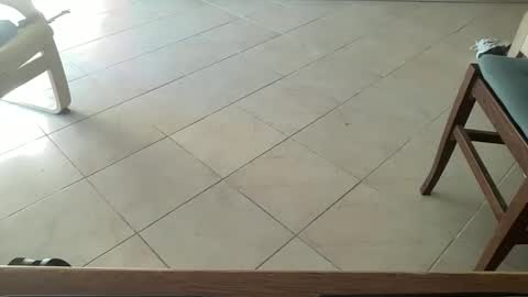 pisellone_xxl online show from 09-19-25, 01:01