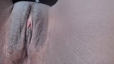 pixel online show from 11-27-25, 06:43