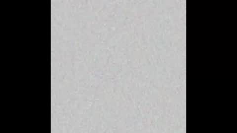 PLADPLAS online show from 02-16-25, 07:59