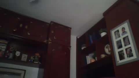 Snapshot of pocoyotop chatting on 03-22-26, 12:47 pocoyotop online show from 03-22-26, 12:47