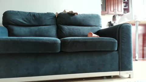 Snapshot of pokusss chatting on 01-15-26, 01:05 pokusss online show from 01-15-26, 01:05