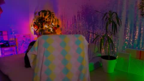 Martha online show from 02-09-26, 03:49