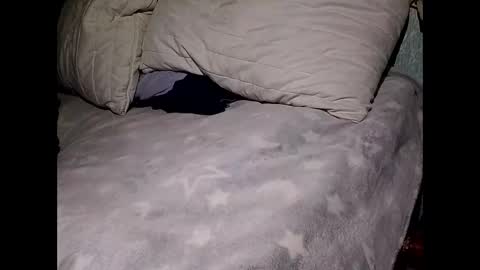 pollachico online show from 11-28-25, 08:06