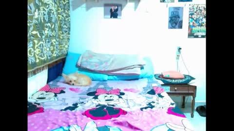 Snapshot of pollon8_kbezon chatting on 01-05-25, 08:42 Gian online show from 01-05-25, 08:42