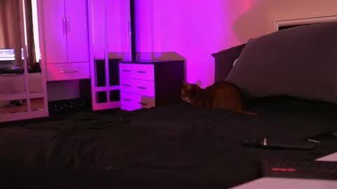 Snapshot of polusladkoye chatting on 09-17-25, 01:02 Megan.online online show from 09-17-25, 01:02