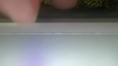 PONCH online show from 12-30-24, 12:31