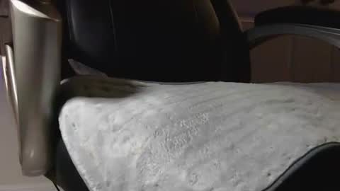 Snapshot of poppyntx chatting on 02-20-26, 03:36 poppyntx online show from 02-20-26, 03:36