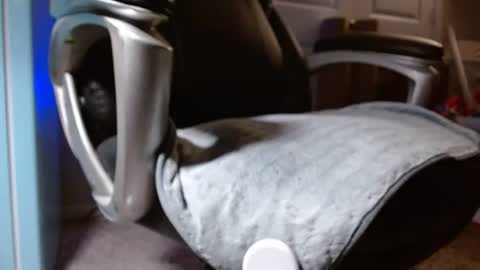 Snapshot of poppyntx chatting on 05-24-26, 03:00 poppyntx online show from 05-24-26, 03:00