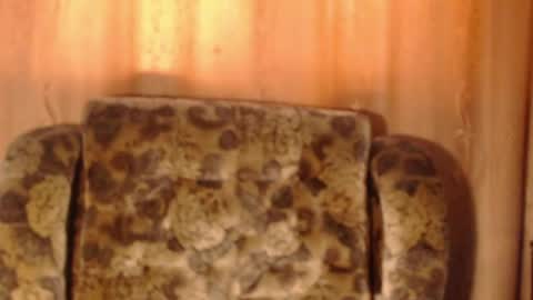 porn88s online show from 05-15-26, 01:29