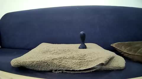 mr vain online show from 07-25-26, 11:19