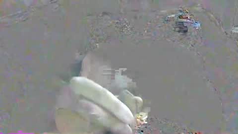 Snapshot of ppsmall_17 chatting on 10-17-25, 10:34 ppsmall_17 online show from 10-17-25, 10:34