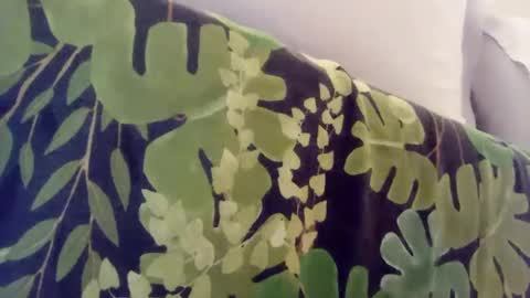 pretty_boy_jack online show from 01-08-25, 01:00