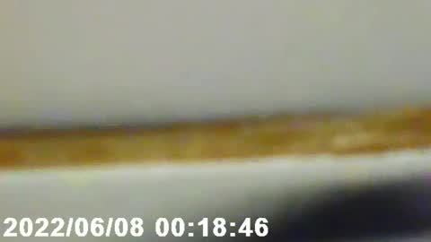 pretty_boy_jack online show from 02-12-25, 02:56