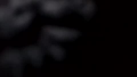 pretty_boy_jack online show from 02-28-25, 10:52